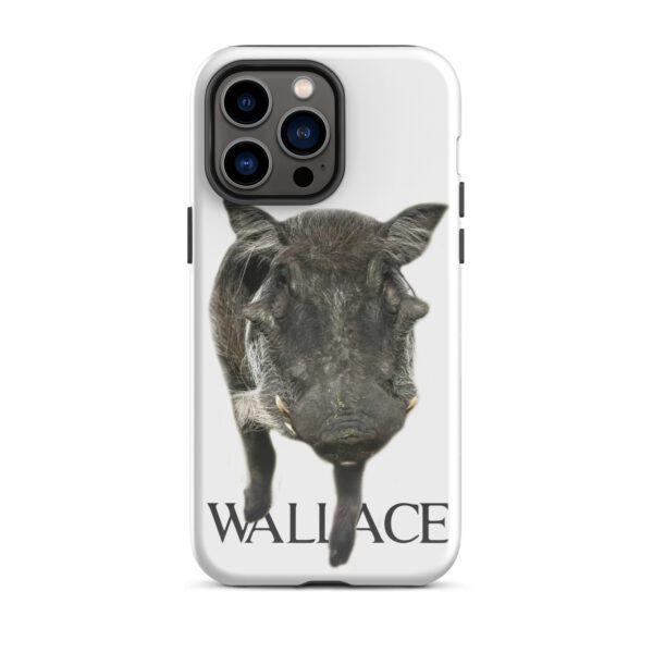 A donkey with the name wallace on it's face.