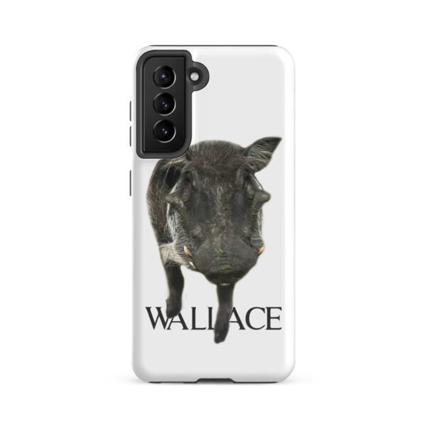 A black and white cow with name wallace