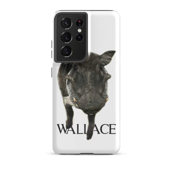 A donkey with the name wallace on it's back.
