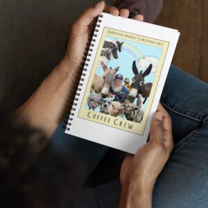 Person holding notebook with animal collage cover.